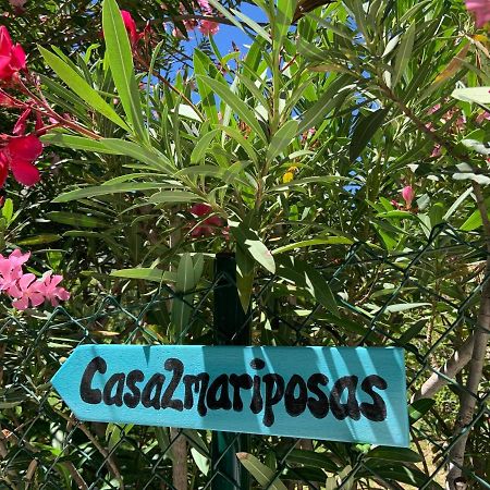 ミハス Casa 2Mariposasヴィラ エクステリア 写真