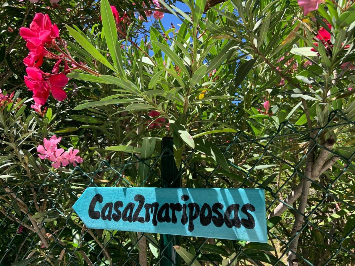 ミハス Casa 2Mariposasヴィラ エクステリア 写真